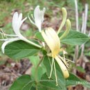 천상골가든 이미지