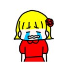 애견취향 이미지