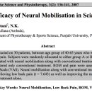 neural mobilization 신경가동법, 신경스트레칭에 대한 reveiw 논문 이미지