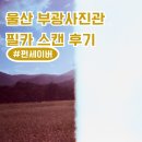 데이라이트 | 울산 부광 사진관 펀세이버 스캔 후기 (펀세이버vs데이라이트v파워플래쉬)