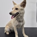 속구미경로당 이미지