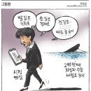 2014.10.30 언론사별 시사만평 이미지