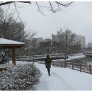 풍암호수공원 이미지