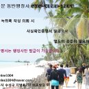 선명 행정사 이미지