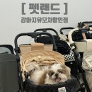 사료할인매장 | 부천 [펫랜드] 강아지 유모차 할인매장, 로얄테일즈 글로리아 시승 후기