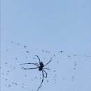 산장느낌 이미지