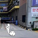 안청로 | 청북햇살동물병원 강아지 발치 및 스케일링 솔직후기