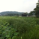 (주)연지 Daum카페