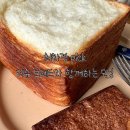 희노애락 (마켓컬리 티슈브레드 후기)