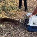 울산광역시야생동물구조관리센터 이미지