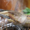 누렁소까망돼지 이미지