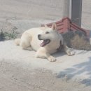 해양대국