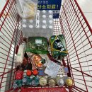 바다가 보이는 부산항 힐링 야영장 이미지