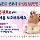 맥스켄넬 이미지