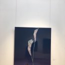 통영옻칠미술관 이미지