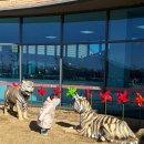 남원백두대간생태교육장전시관 | 남원 아이랑 가볼만한 곳 백두대간 생태교육장 전시관