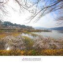 보문관광단지 이미지