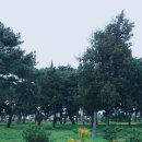 동해송정동철기시대유적 네이버블로그