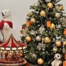 엄피부과의원 이미지