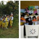 황금사슴농장 이미지