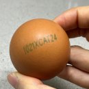 마트에서 이것도 모르고 계란 사면 바보입니다. 이미지