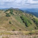 중산초교 이미지