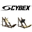 메이저휘트니스클럽 이미지