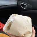 신성농장 | 🇲🇽 [비야에르모사 2일차] 모기 기피제 사고 렌터카로 카카오 농장 정복하기