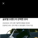 메이트 X (MATE X) 전기자전거 팻바이크 판매합니다. 이미지
