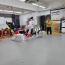 국가태권도 이미지