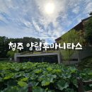[청주] 후마니타스 / 연잎뷰 대형 한옥 북카페 방문후기