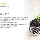 미래꽃유실수