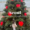 포도젤리 펫살롱 | 잠실 송파구미용실 젤리펌 그로잉살롱 송파가락점