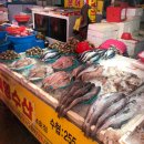 강릉시수산업협동조합 수산물직매장 | [묵호여행] 묵호 2일차 - 커피맛집과 하평해변주차팁, 묵호항 해산물 구매후기