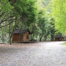 공작산계곡 오토캠핑장 이미지