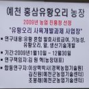 불로오리
