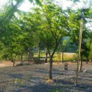 자연펜션캠핑장 이미지