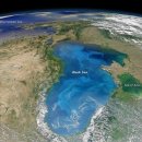 줄라이모닝 이미지