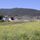 신풍리마을회관 이미지