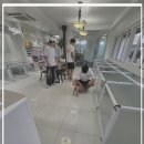 천사애견 이미지