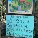 동아카타이어