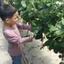 준영이네농장 이미지