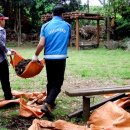 서홍동-8 이미지