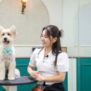 애니살롱 - 강남구 봉은사로109길 22-5 | 애니살롱