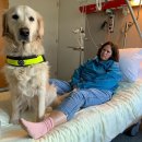 개발바닥 이미지