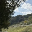 대망목장 이미지