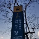 ﻿강남 압구정동35형 72동 압구정현대아파트 월세 (한명회 정자터 인근) 임대 관련 디스코드 서버 안내 (아338) 이미지