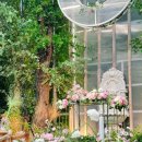 논현2-126 | [공지] 빌라드지디 논현 26년 상반기 견적공유 하우스웨딩 식대 할인정보