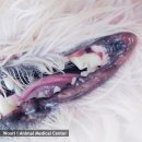 조치원메디컬센터 이미지