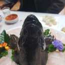 서형수산 이미지